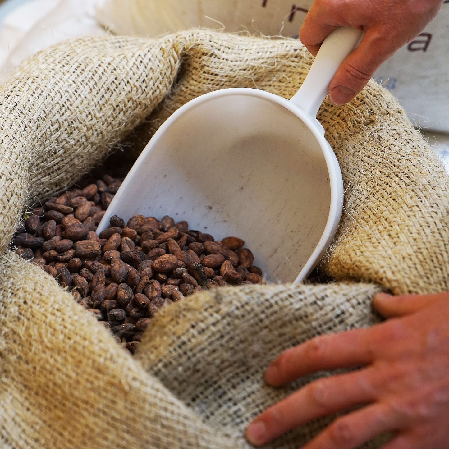 Cocoa Bio Gin / Premium