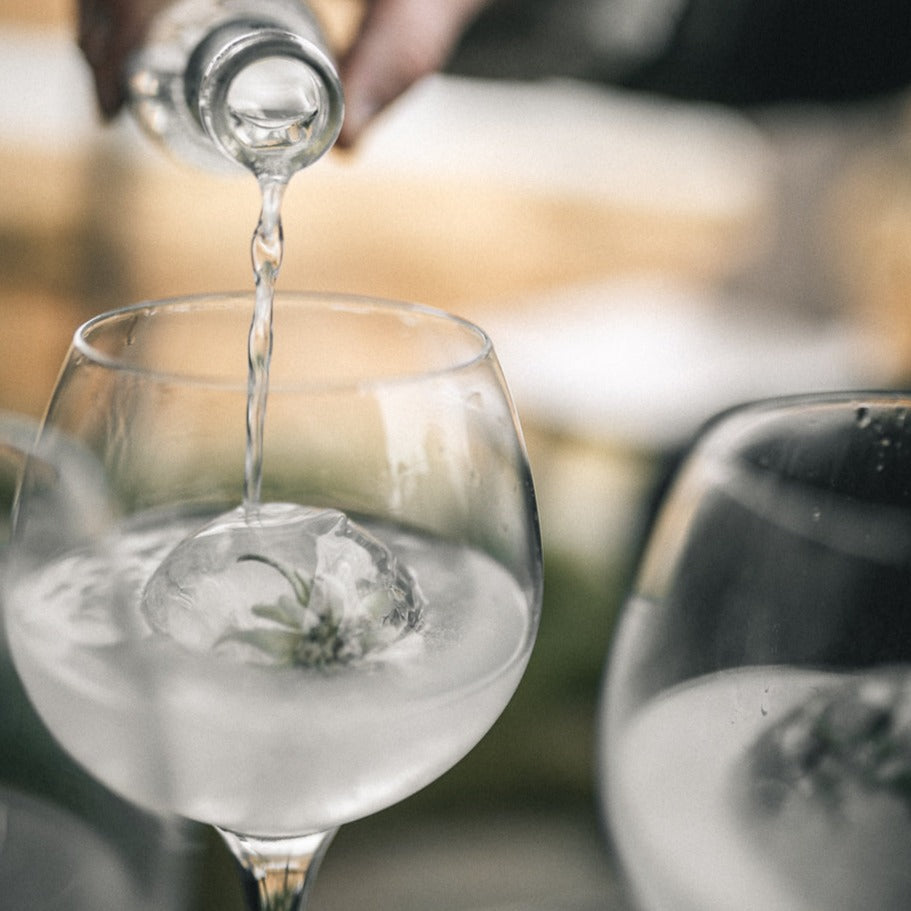 London Dry Gin / Premium